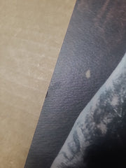 Jay Adams 100% Skateboarder Print By Pep Williams - Limited Signed Print