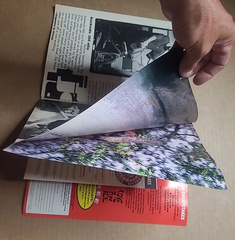 1993 Transworld Skateboarding Magazine Poster Book - Ed Templeton Jeremy Klein