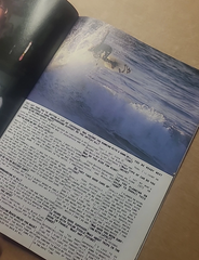 Warp Magazine - Vol 4 # 2 June 1995 PERRY FARRELL Spike Jonze - Skate Surf Music