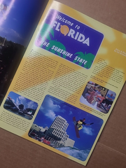 1995 BLUNT Magazine Snowboard issue 4.0 - Shaun Palmer by Rocco  Natas  Tremaine