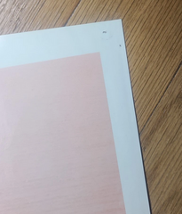 1988 Gotcha Surf 3-D Poster - Martin Potter