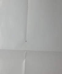 1988 Gotcha Surf 3-D Poster - Martin Potter