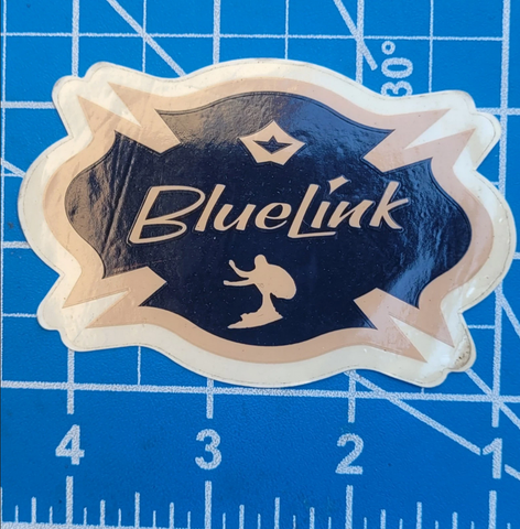 Vintage BLUELINK Clothing  STICKER